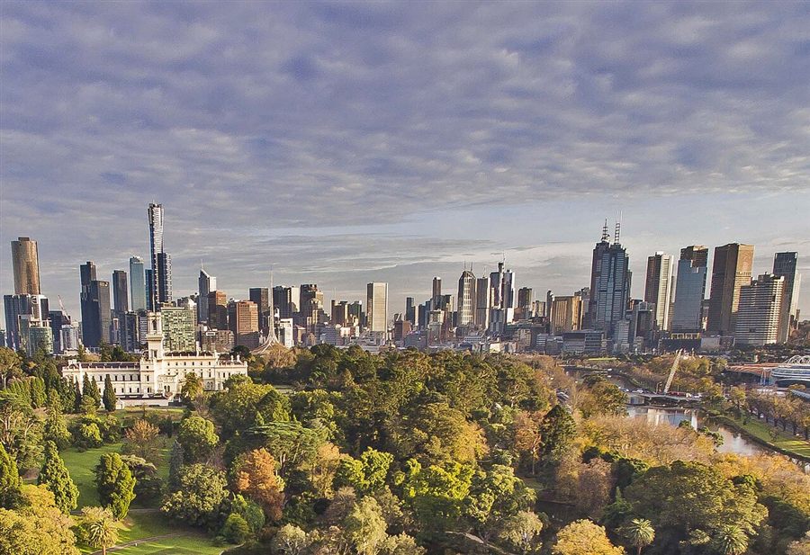 Treetops of the Royal Botanic Gardens with the city skyline behind